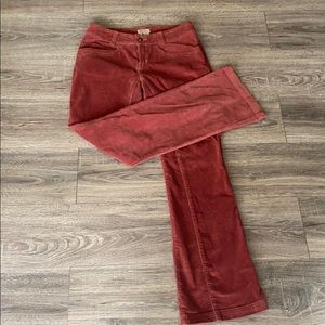 Royal Robins corduroy pants